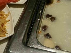-海底捞火锅(龙岗星河COCO Park店)
