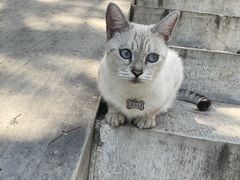 -李叔同故居纪念馆