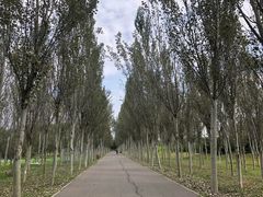 -东郊湿地公园