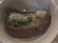 -越海渔村