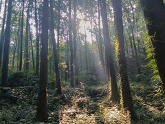 -波尔登森林公园