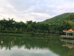 -大屏嶂森林公园