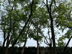 -南京城墙景区