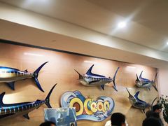 -贝林大翅鲸简餐厅(国家海洋博物馆店)