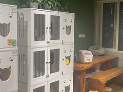 -东方名猫馆·英短金渐层布偶猫舍(环线广场1号楼店)