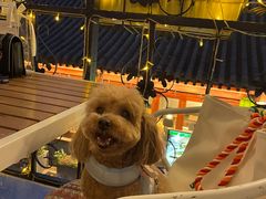 -Sirena海妖日咖夜酒