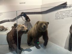 -武汉园博园(武汉自然博物馆)