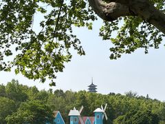 -宜兴龙背山森林公园