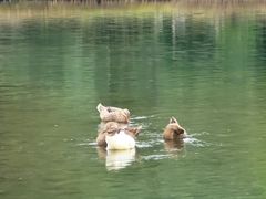 -生态苑农庄(十里画廊遇龙河店)