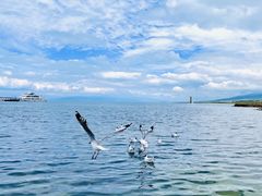 -青海湖国家重点风景名胜区