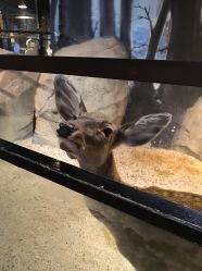 -酷嗒动物文化乐园(cutezoo西溪乐天城店)