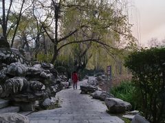 -莲湖公园