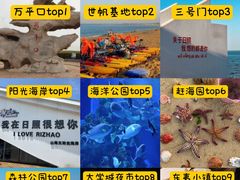 -日照大牌檔•小船海鲜(万平口店)