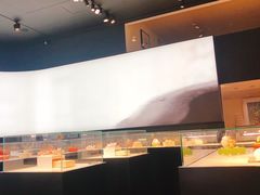 -BLACKSWAN黑天鹅(环球店)