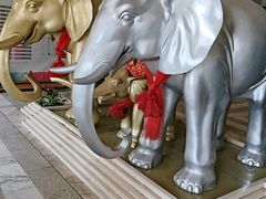 -呈贡滇池生态湿地公园