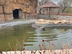 -沈阳森林动物园