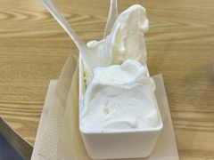 -野人先生Gelato(上海长宁龙之梦店)