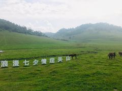 -关山草原