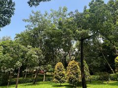 -云溪植物园
