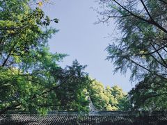 -成都杜甫草堂博物馆