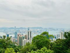 -太平山顶