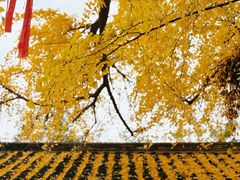 -天朝元辅-徐州民俗博物馆