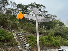 -狮子山郊野公园