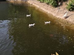 -西安汉城湖景区