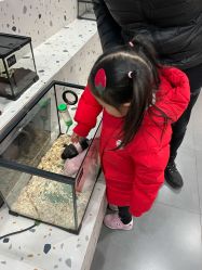 -Moni星球萌宠·小马宝莉·灵蛇·高端高阶全萌宠互动体验俱乐部(红豆国际广场店)