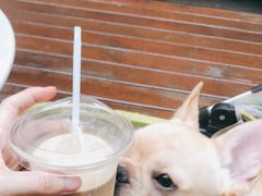 -M Stand(BFC外滩金融中心店)