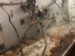 -荔城生鲜盛宴(番禺旗舰店)