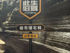 -梭布垭石林景区