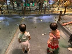 -酷嗒动物文化乐园(cutezoo西溪乐天城店)