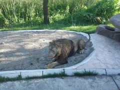 -北京野生动物园