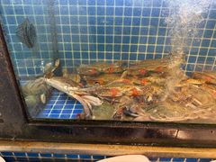 -碧海银沙海鲜餐厅(恒大海上威尼斯店)