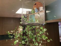 -将军牛排·尔滨地标朝鲜族美食(总店)