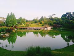 -铁山坪森林公园