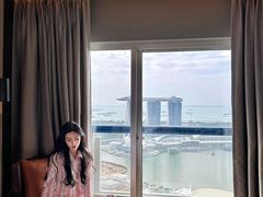 -新加坡瑞士史丹福酒店