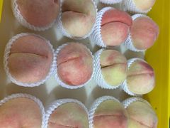 -老袁家蜜桃农场·阳山水蜜桃