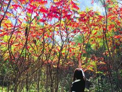 -长春世界雕塑园冰雪艺术天地