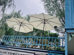 饮品店二楼可俯望市集-沈阳鸟岛