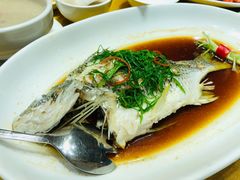 -新海利海鲜城·41年珠海老字号(夏湾店)