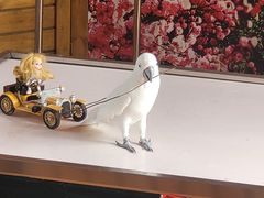 -燕塞湖鸟语林景区