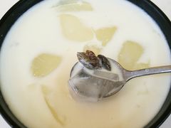 椰奶清补凉-志龙皇冠吃货椰子铺