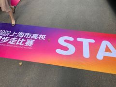 -东平国家森林公园