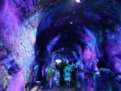 -栾川竹海野生动物园