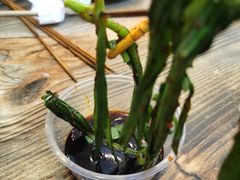 -晓靖轩烧烤(沙河风情店)