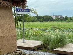 -良渚古城遗址公园