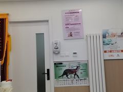 -瑞派·关忠动物医院·猫专科·犬专科(三环新城店)