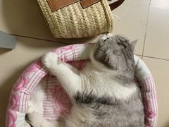 -LOEWE罗意威(北京SKP女装店(一层))